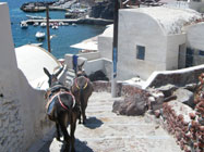 Santorini-Puerto-Mulas